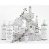 Balsam do ciała Aloesir 31ml 50 sztuk
