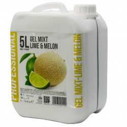 Szampon i żel 2w1 dla hoteli PROFESSIONAL Lime and Melon 5L