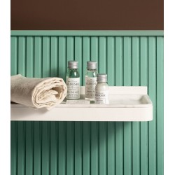 Hotel Shampoo&Duschgel Aloesir Flasche 31ml 50 Stück